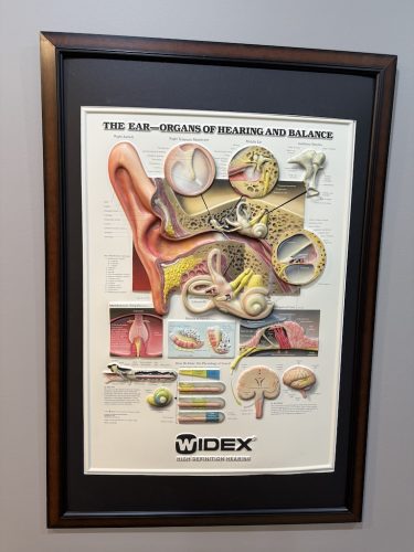 Hearing Aids Simpsonville Sc Sound Hearing 1 12 2026 2