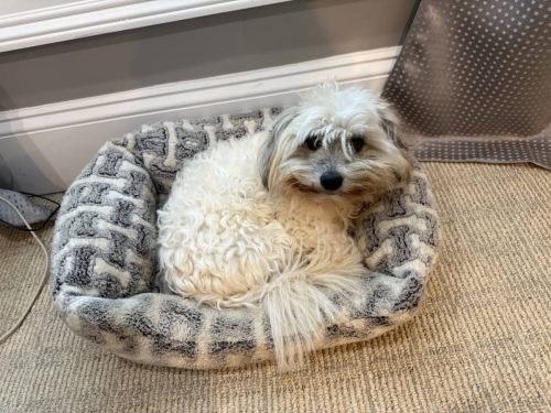 hearing-aids-simpsonville-sc-sound-hearing-3-16-2026-5