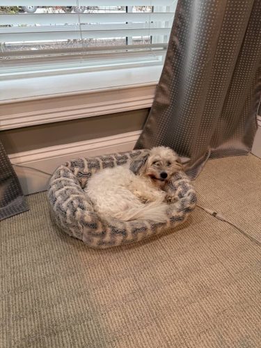 hearing-aids-simpsonville-sc-sound-hearing-3-2-2026-7